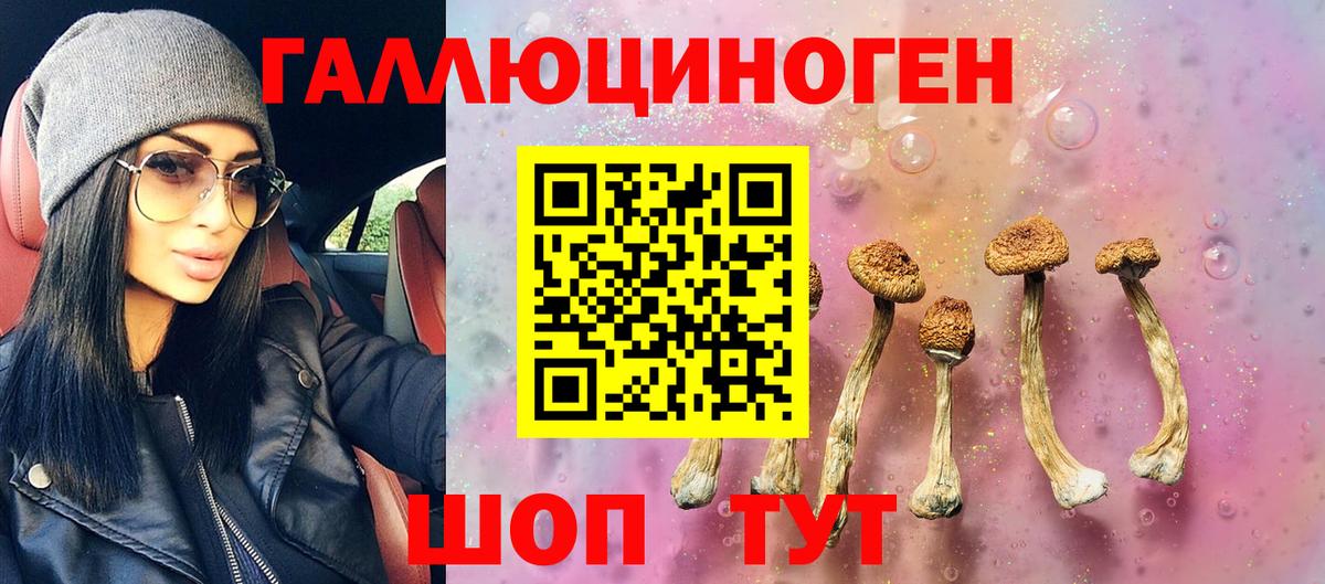 Псилоцибиновые грибы Magic Shrooms  Вход с VPN  Арзамас  Галлюциногенные грибы Psilocybe 