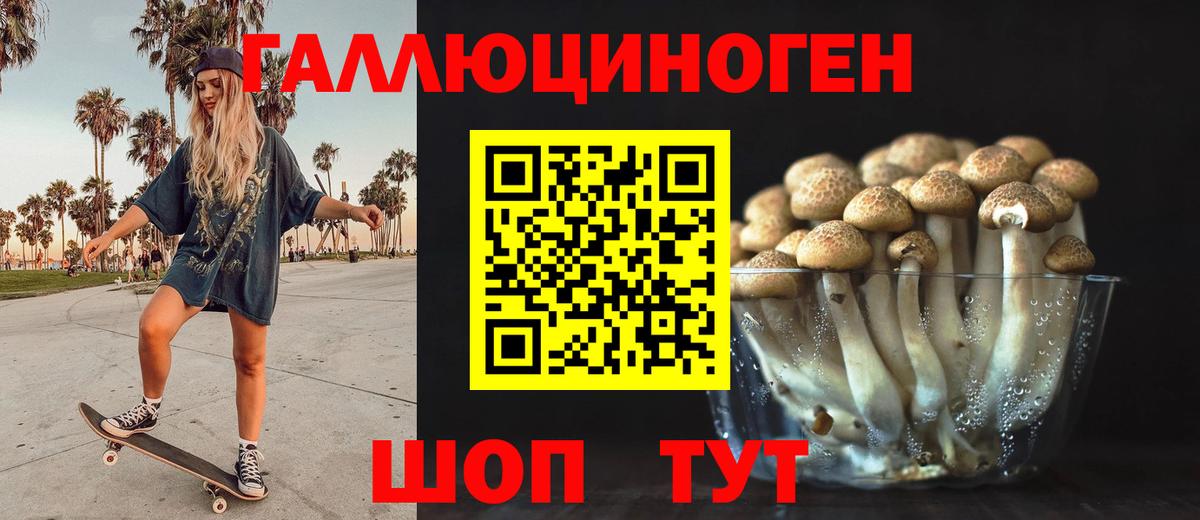 Псилоцибиновые грибы Psilocybe Арзамас
